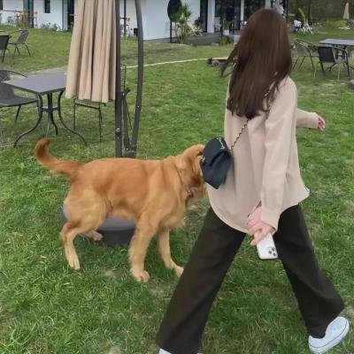 胭脂虎新传